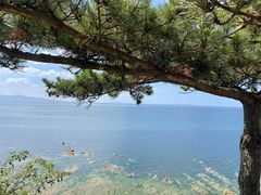 -养马岛旅游度假区