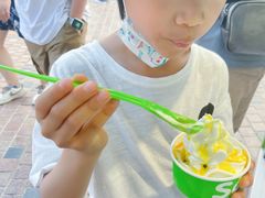 -Salud撒露欧洲冻酸奶(蓝色港湾店)