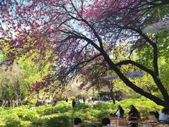 -洛阳市隋唐城遗址植物园
