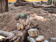 -北京野生动物园