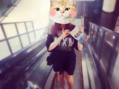 -名古屋城