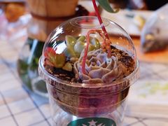 -星巴克臻选(济南恒隆店)