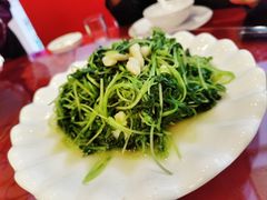 -旅宁大酒店