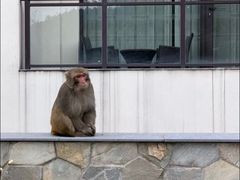 -苏州环秀晓筑养生度假村