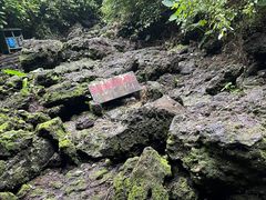 -海口火山口国家地质公园