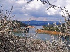 -广州市流溪河国家森林公园