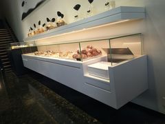 -BLACKSWAN黑天鹅(环球店)