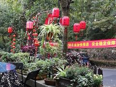 -国生茶庄·地道农家菜团建活动