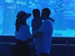 -北戴河圣蓝海洋公园