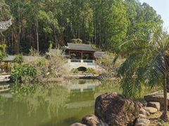 -广州神农草堂中医药博物馆