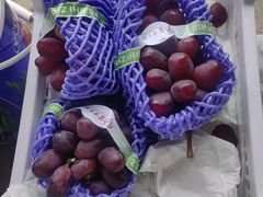 -马陆小张葡萄园农家乐