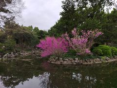 -叶家花园