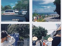 -杨梅坑