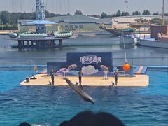 -秦皇岛乐岛海洋王国