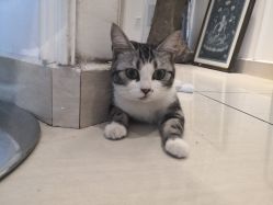 -长沙纹身· 龙堂刺青·三土师傅的店