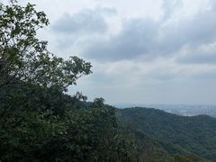 -杭州半山国家森林公园