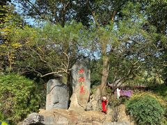 -西湖公园(鼓楼区)