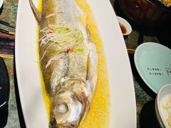 苏帮太湖白鱼-苏帮袁Sue Cuisine(南开大悦城店)