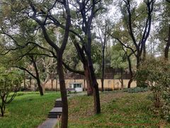 -徐家汇源景区-衡山公园