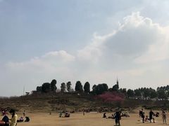 -秀丽东方