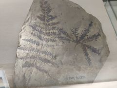 -辽宁古生物博物馆