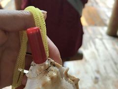 -北海金海湾红树林生态旅游区