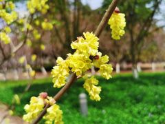 -白塘生态植物园