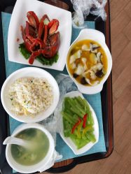 -臻康乃馨月子中心(集美店)