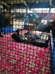 -多乐岛运动游乐城(杭州店)