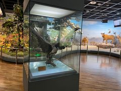 -陕西自然博物馆