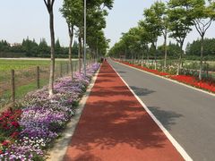 -上海长兴岛郊野公园