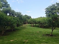 -堤角公园