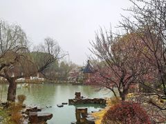 -司徒庙