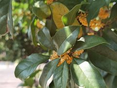 -白塘生态植物园