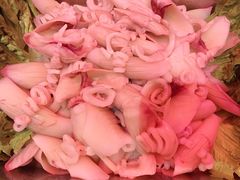 -明洞轩正统韩国自助烤肉大渡口店(新天泽国际广场店)