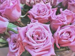 -双季花艺园艺市场(浦东店)