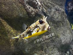 -香港海洋公园