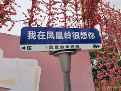 -北京凤凰岭