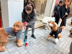 -RAC BAR(安福路店)