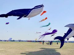 -潍坊滨海云门国际风筝放飞场