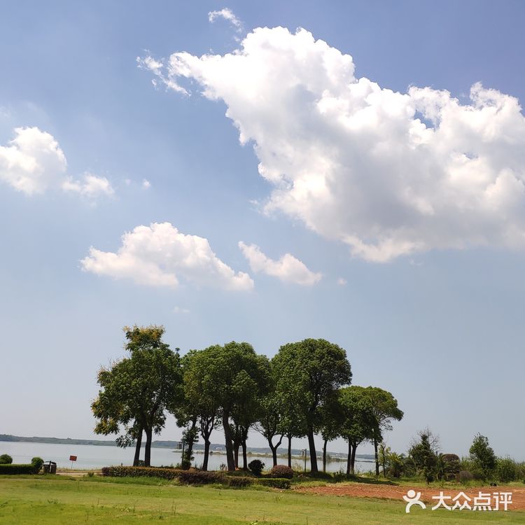 探店梁子湖龙湾度假村|小马代不是谁都可以叫的