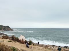 -盐洲岛