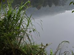 -海南热带雨林国家公园吊罗山景区