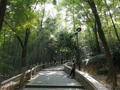 -灵岩山风景区