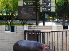 -合肥野生动物园