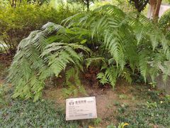 -广州神农草堂中医药博物馆