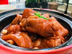 鲍汁猪手煲-大树餐厅(红旗街万达店)