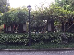 -江湾公园