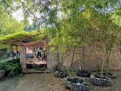-洛阳白马寺