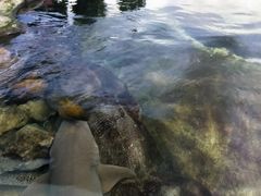 -鸿通城购物中心